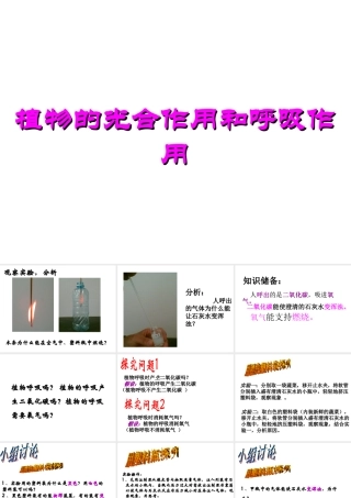 八年级科学上册 第4章 植物的物质和能量的转化 4《植物的光合作用和呼吸作用》课件 （新版）华东师大版-（新版）华东师大版初中八年级上册自然科学课件