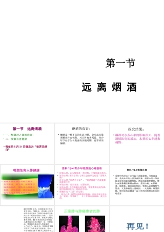 八年级生物下册 第二十六章 第一节 远离烟酒课件3 （新版）苏教版