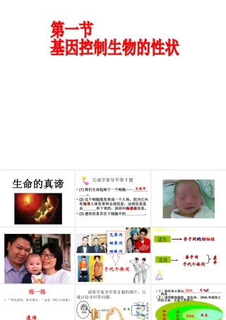 八年级生物下册 第二批教学能手评选 7.2.1 基因控制生物的性状课件 （新版）新人教版-（新版）新人教版初中八年级下册生物课件