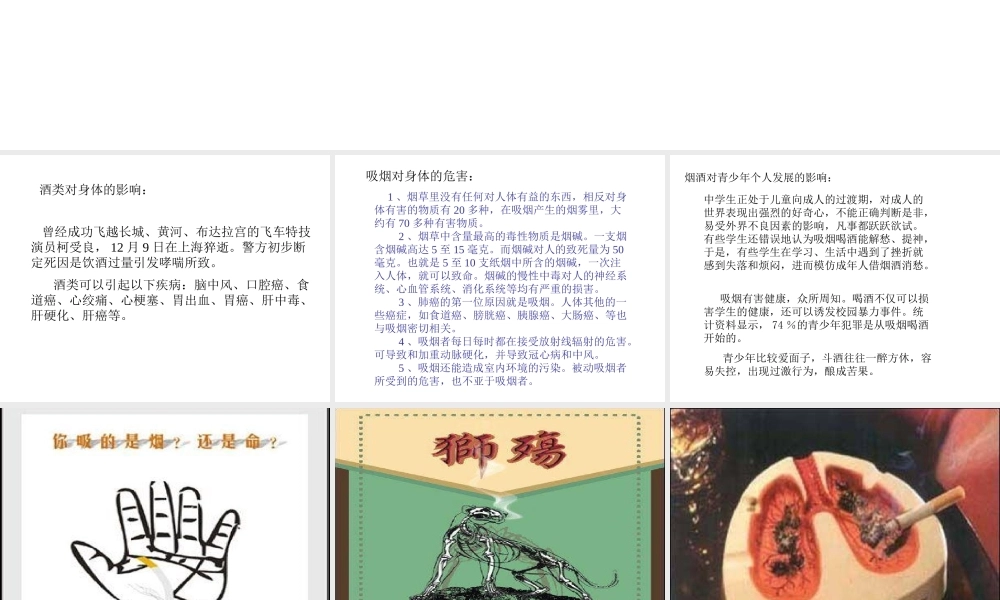 八年级生物下册 第二十六章 第一节 远离烟酒课件4 （新版）苏教版