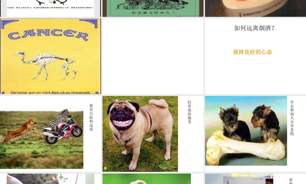 八年级生物下册 第二十六章 第一节 远离烟酒课件4 （新版）苏教版