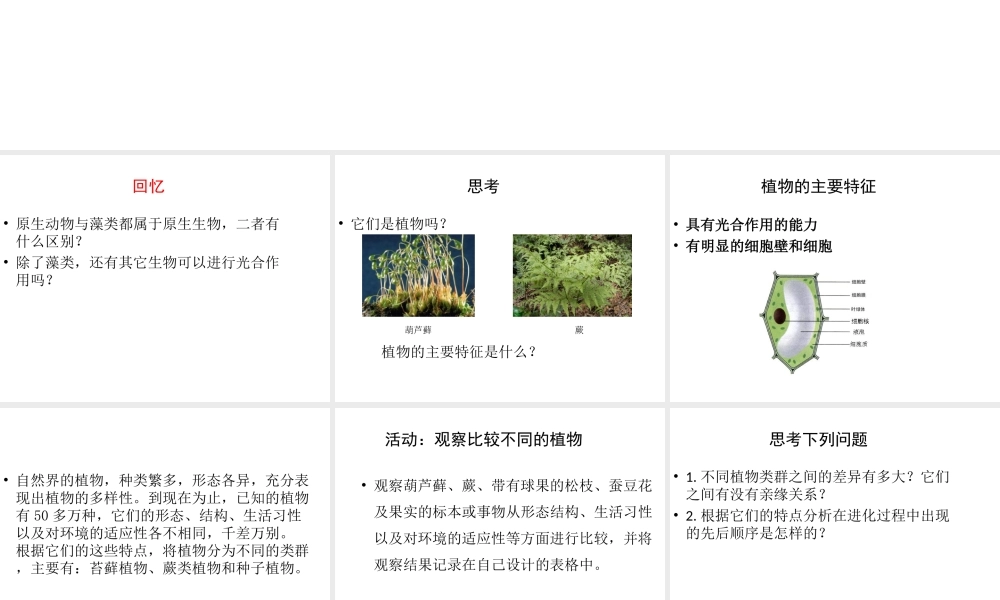 八年级生物下册 第7单元 第22章 第3节 植物的主要类群课件 北师大版-北师大级下册生物课件