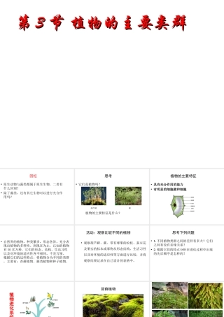 八年级生物下册 第7单元 第22章 第3节 植物的主要类群课件 北师大版-北师大级下册生物课件