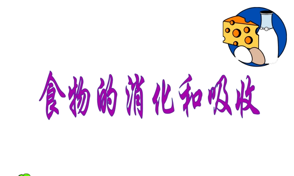 八年级科学上册 第5章 人体的物质和能量的转化 1《食物的消化和吸收》课件1 （新版）华东师大版-（新版）华东师大版初中八年级上册自然科学课件