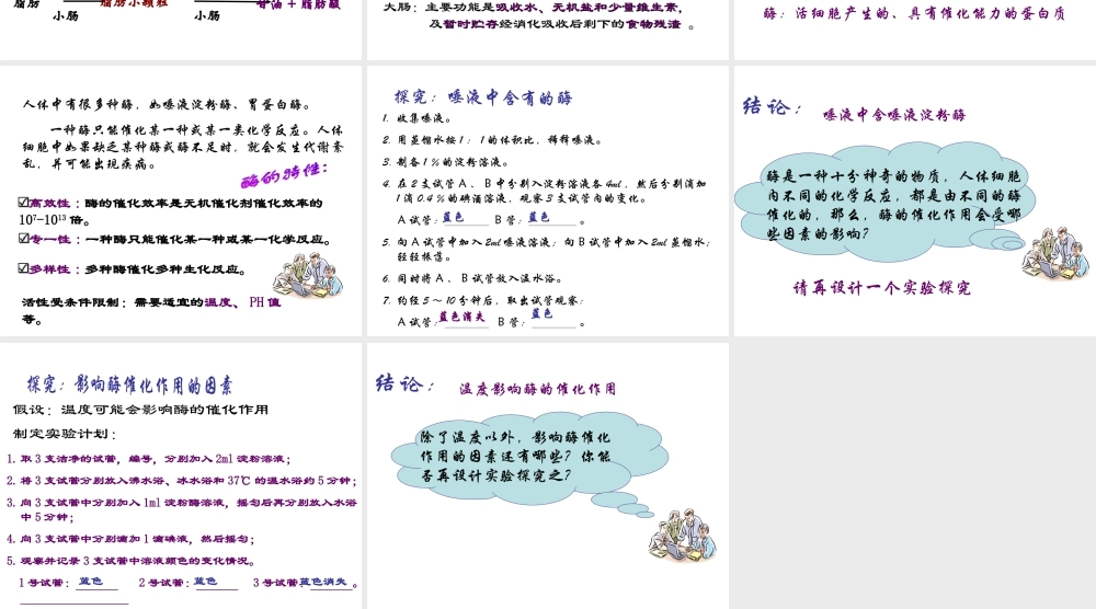 八年级科学上册 第5章 人体的物质和能量的转化 1《食物的消化和吸收》课件1 （新版）华东师大版-（新版）华东师大版初中八年级上册自然科学课件