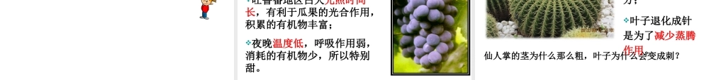 八年级科学上册 第2章 天气与气候 2.7《我国的气候特征与主要气象灾害》课件（2） 浙教版-浙教版初中八年级上册自然科学课件