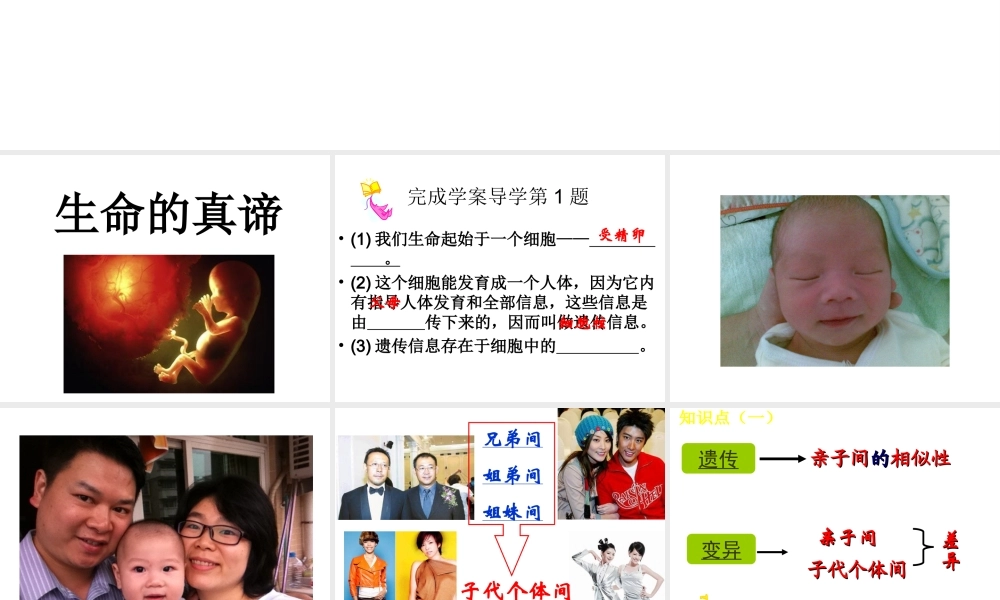 八年级生物下册 第二批教学能手评选 7.2.1 基因控制生物的性状课件 （新版）新人教版-（新版）新人教级下册生物课件