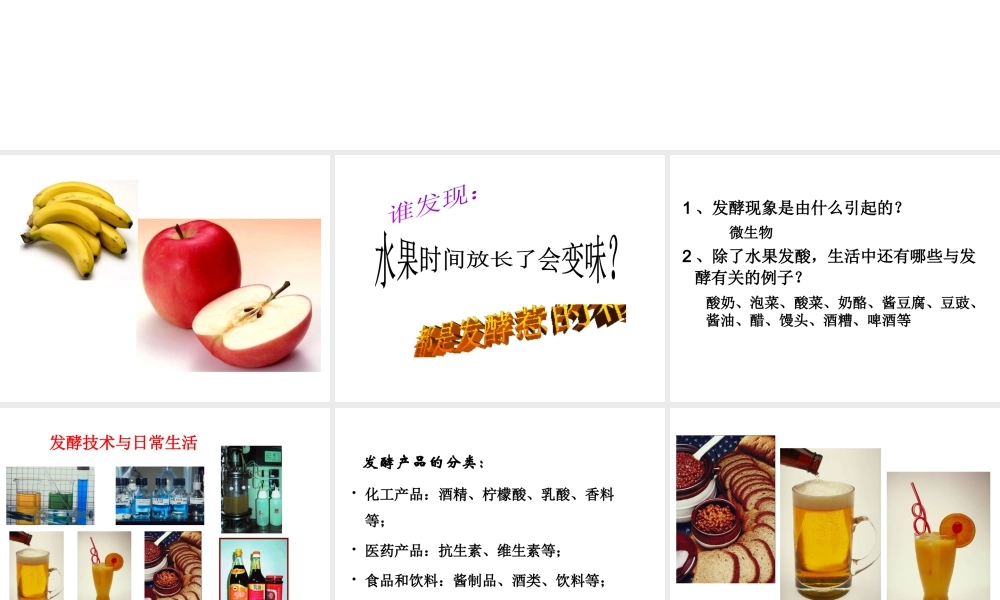 八年级生物下册 第二十三章 第1节《源远流长的发酵技术》课件 （新版）苏教版