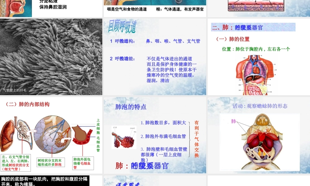 八年级科学上册 第5章 人体的物质和能量的转化 2《人体的呼吸》课件1 （新版）华东师大版-（新版）华东师大版初中八年级上册自然科学课件