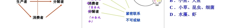 八年级生物下册 第二十三章 第二节 生态系统的概述课件 北师大版