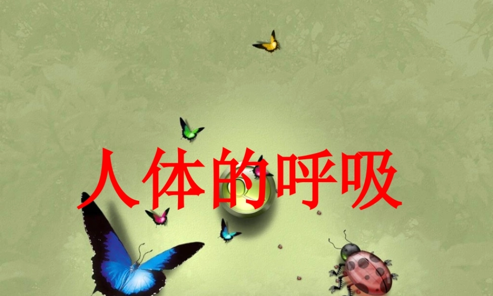 八年级科学上册 第5章 人体的物质和能量的转化 2《人体的呼吸》课件2 （新版）华东师大版-（新版）华东师大版初中八年级上册自然科学课件