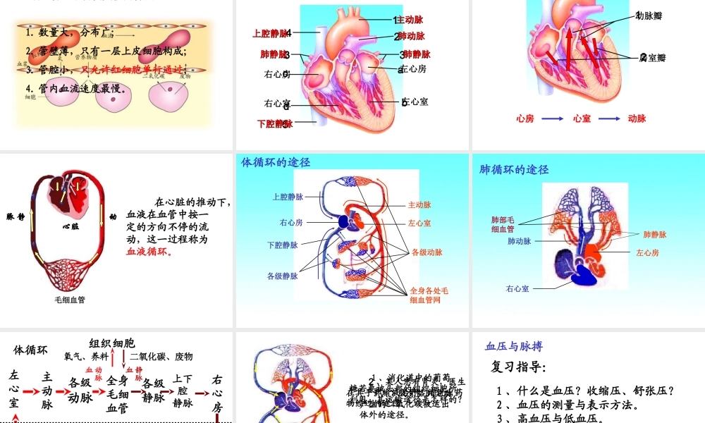 八年级科学上册 第5章 人体的物质和能量的转化 3《人体内的物质运输》课件1 （新版）华东师大版-（新版）华东师大版初中八年级上册自然科学课件