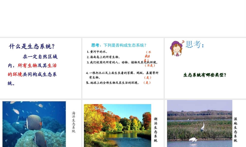 八年级生物下册 第二十三章 第二节 生态系统概述课件 （新版）北师大版