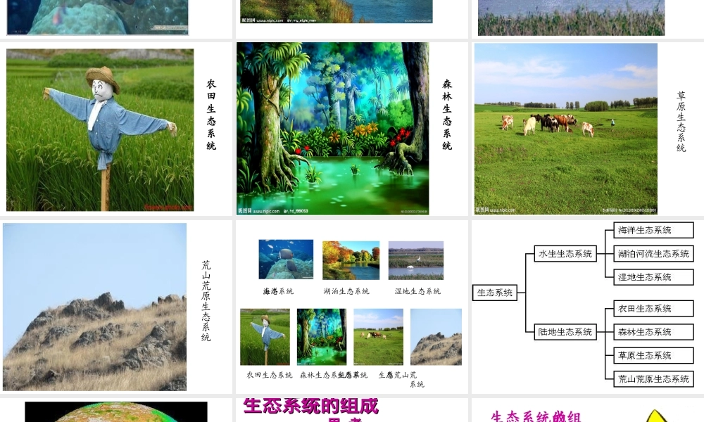 八年级生物下册 第二十三章 第二节 生态系统概述课件 （新版）北师大版