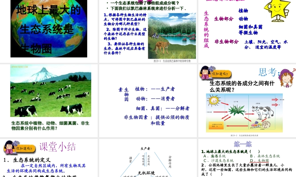 八年级生物下册 第二十三章 第二节 生态系统概述课件 （新版）北师大版
