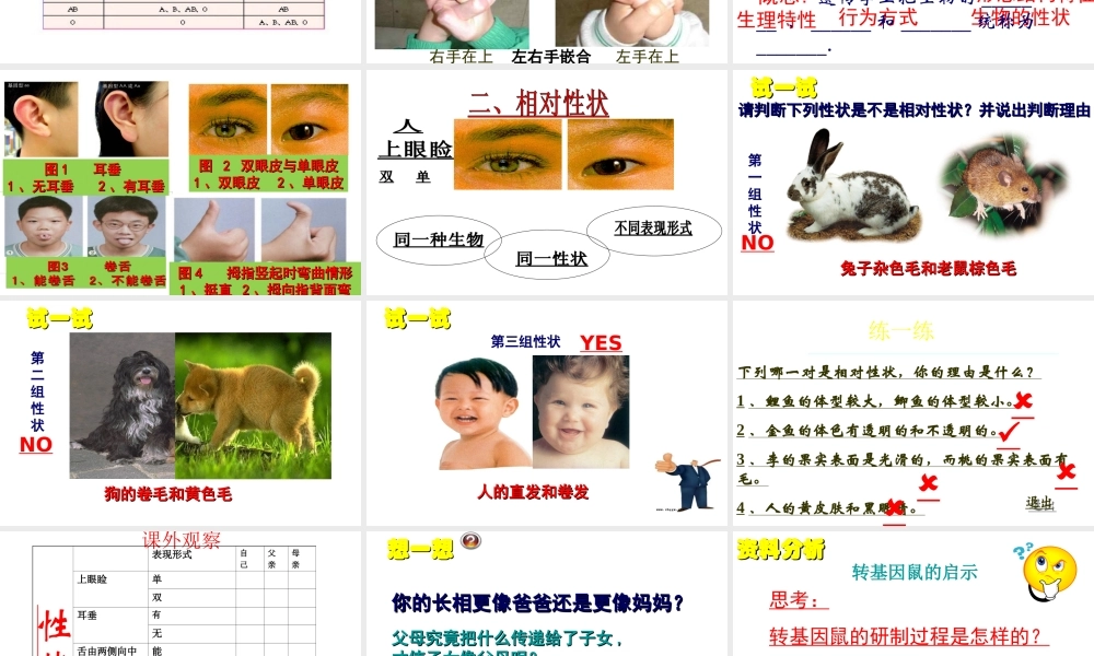 八年级生物下册 第二章 第1节 基因控制生物的性状课件 新人教版