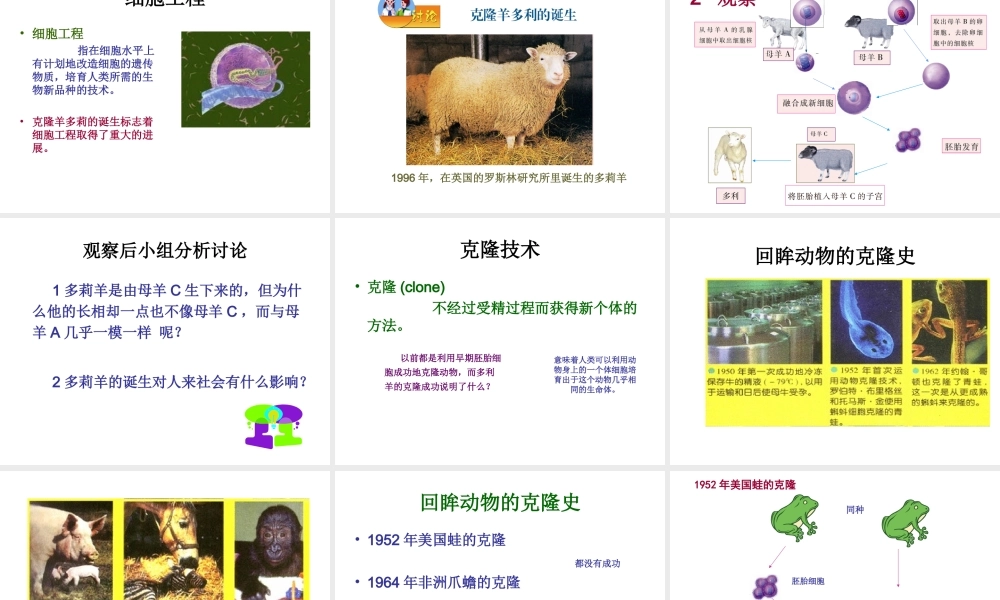 八年级生物下册 第二十四章 第1节《现代生物技术的应用》课件 （新版）苏教版