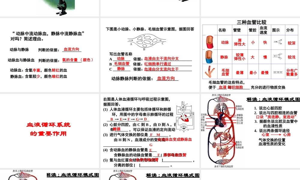 八年级科学上册 第5章 人体的物质和能量的转化 3《人体内的物质运输》课件2 （新版）华东师大版-（新版）华东师大版初中八年级上册自然科学课件