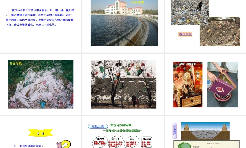 八年级生物下册 第24章 第3节 关注城市环境课件 北师大版