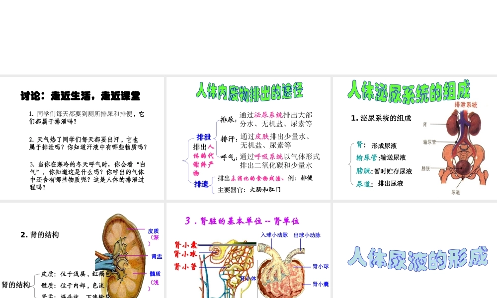 八年级科学上册 第5章 人体的物质和能量的转化 4《人体的排泄》课件 （新版）华东师大版-（新版）华东师大版初中八年级上册自然科学课件