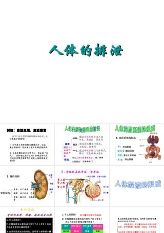 八年级科学上册 第5章 人体的物质和能量的转化 4《人体的排泄》课件 （新版）华东师大版-（新版）华东师大版初中八年级上册自然科学课件