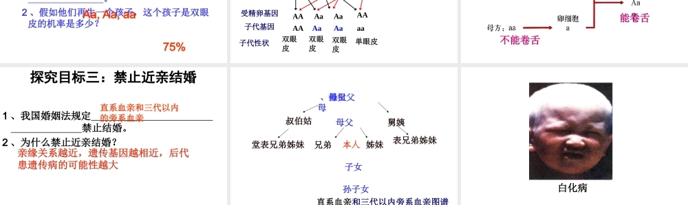八年级生物下册 第二章 第3节 基因的显性和隐性课件 新人教版
