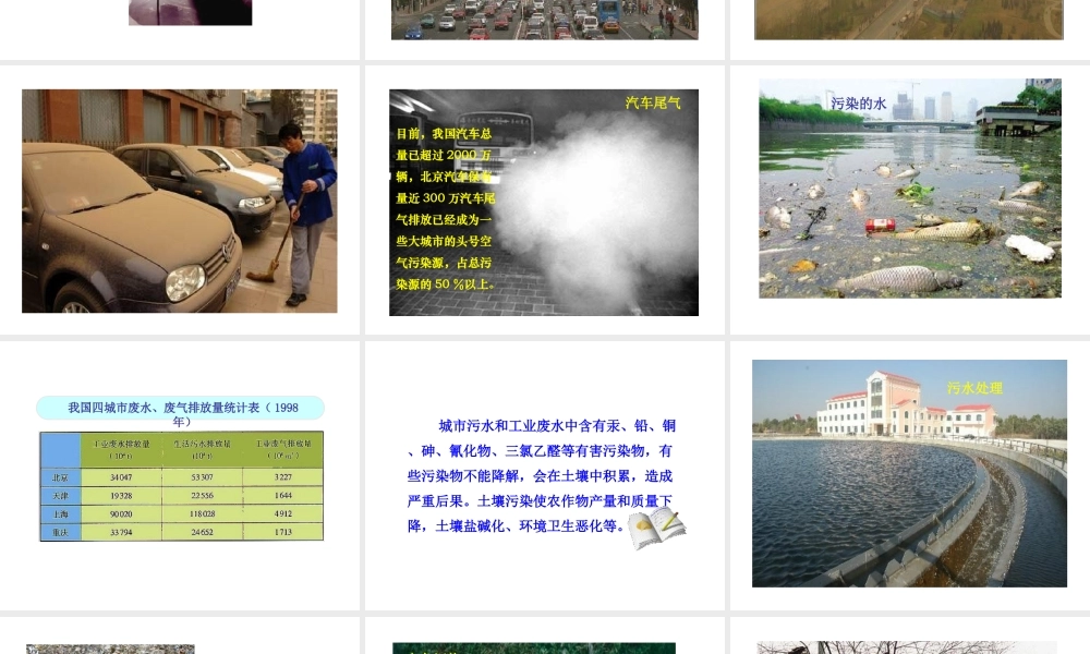 八年级生物下册 第24章 第3节《关注城市环境》课件 （新版）北师大版