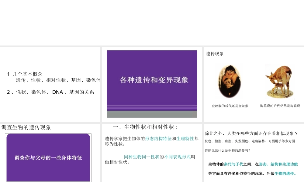 八年级生物下册 第7单元 生命的延续与进化 第22章 第1节《生物的遗传》（第1课时）课件 （新版）苏科版-（新版）苏科版初中八年级下册生物课件