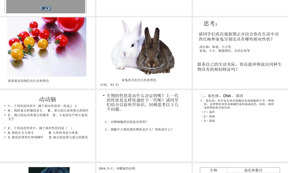 八年级生物下册 第7单元 生命的延续与进化 第22章 第1节《生物的遗传》（第1课时）课件 （新版）苏科版-（新版）苏科版初中八年级下册生物课件