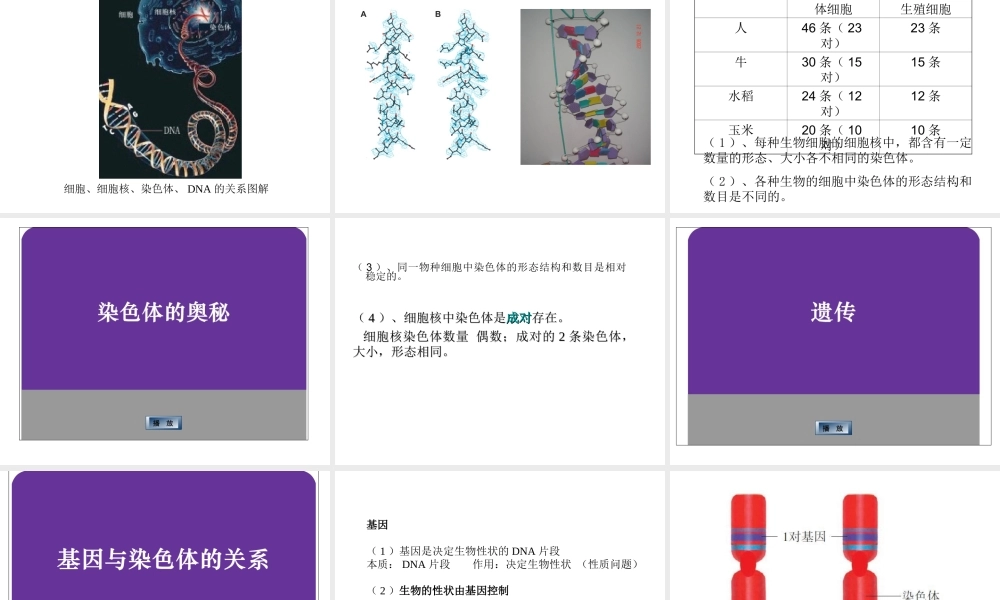八年级生物下册 第7单元 生命的延续与进化 第22章 第1节《生物的遗传》（第1课时）课件 （新版）苏科版-（新版）苏科版初中八年级下册生物课件