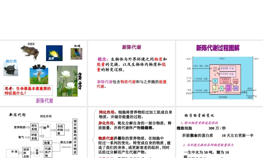 八年级科学上册 第5章 人体的物质和能量的转化 5《人体生命活动过程中物质和能量的转换》课件 （新版）华东师大版-（新版）华东师大版初中八年级上册自然科学课件
