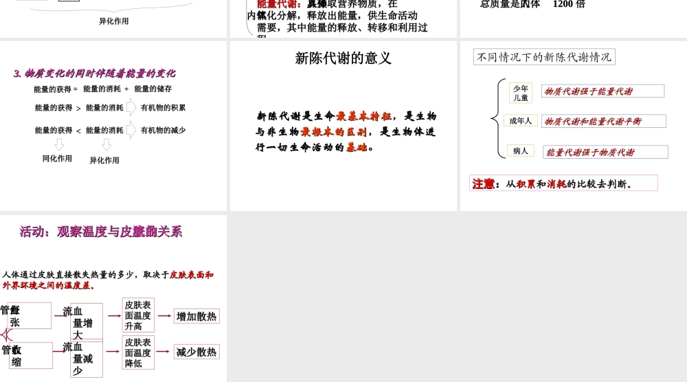 八年级科学上册 第5章 人体的物质和能量的转化 5《人体生命活动过程中物质和能量的转换》课件 （新版）华东师大版-（新版）华东师大版初中八年级上册自然科学课件