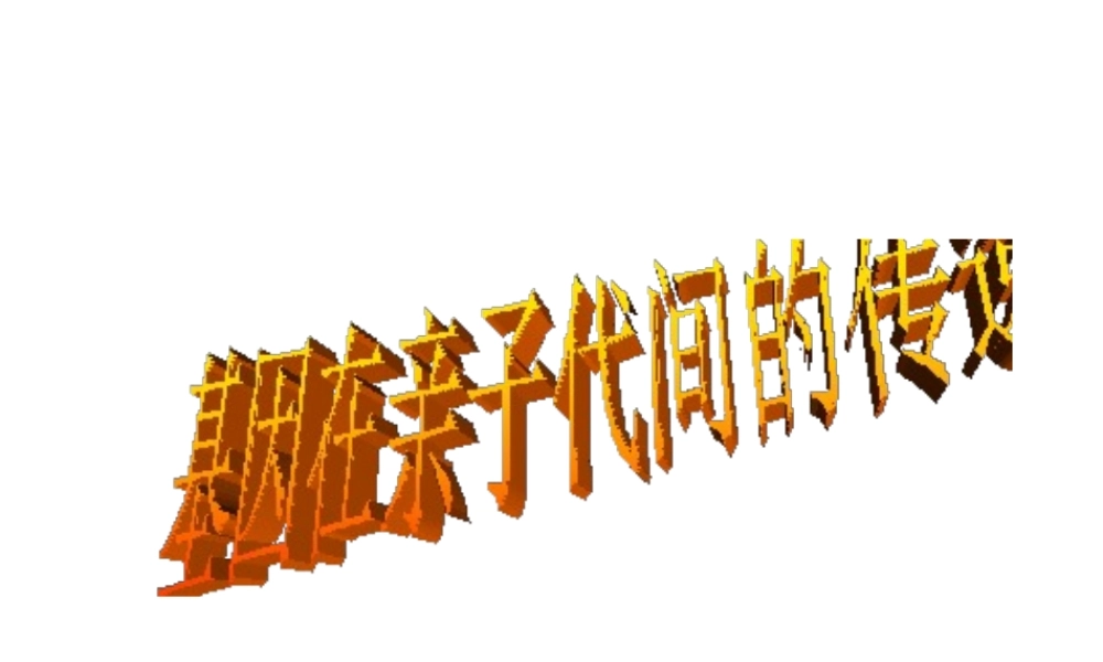 八年级生物下册 第二章 第二节 基因在亲子代间的传递课件 新人教版