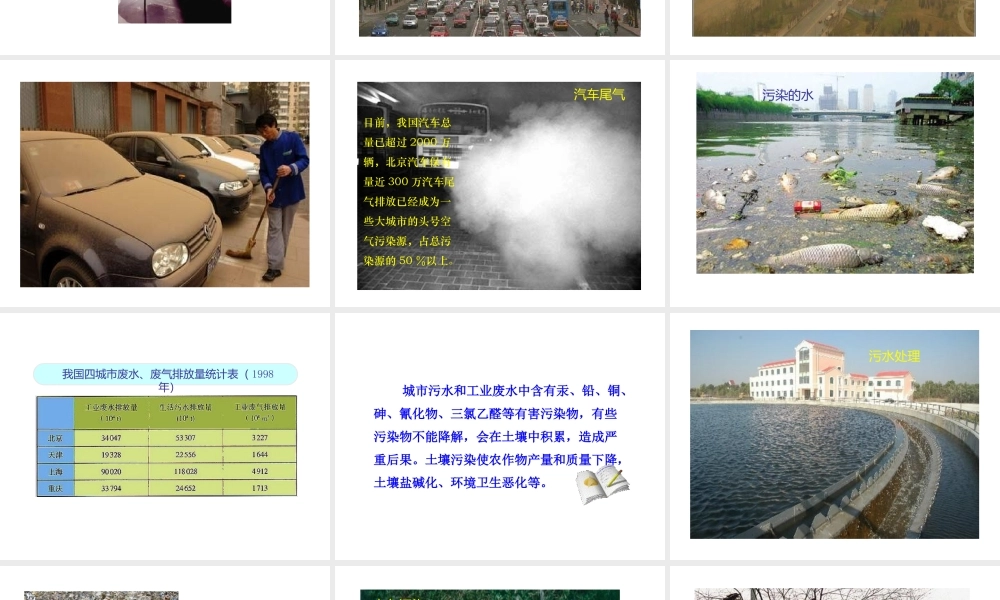 八年级生物下册 第24章 第3节《关注城市环境》课件 北师大版