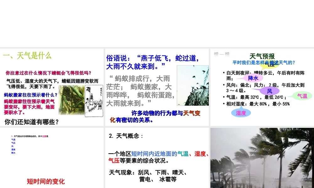 八年级科学上册 第2章 天气与气候 第2节《气温》课件3 （新版）浙教版-（新版）浙教版初中八年级上册自然科学课件