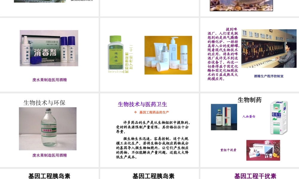 八年级生物下册 第二十四章 第二节 关注生物技术课件3 （新版）苏教版