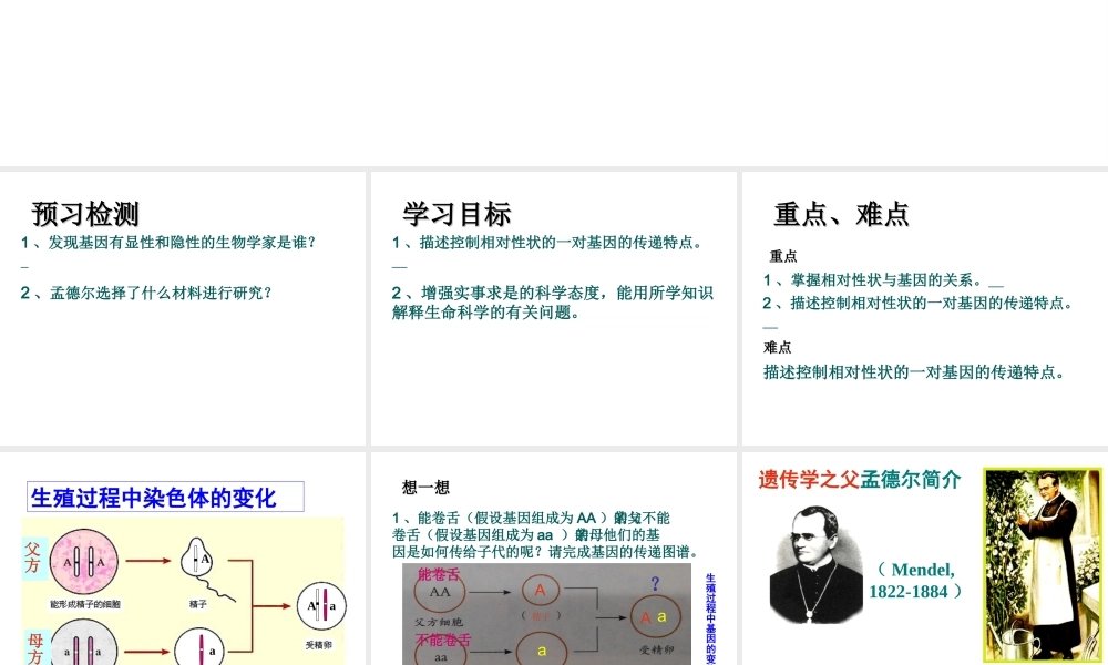 八年级生物下册 第二章 第三节 基因的显性和隐性课件 新人教版-新人教版初中八年级下册生物课件