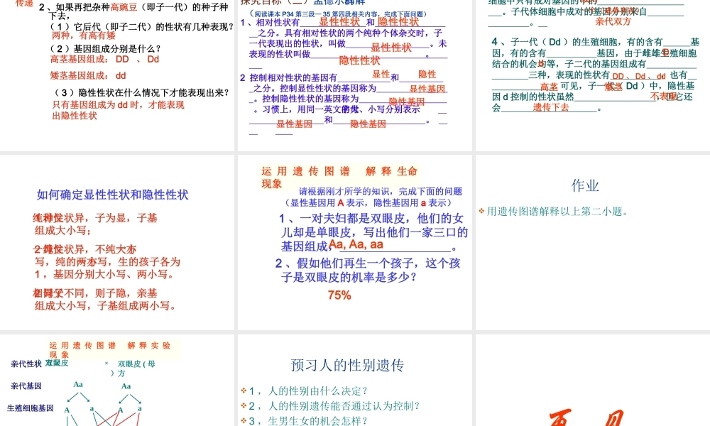 八年级生物下册 第二章 第三节 基因的显性和隐性课件 新人教版-新人教版初中八年级下册生物课件