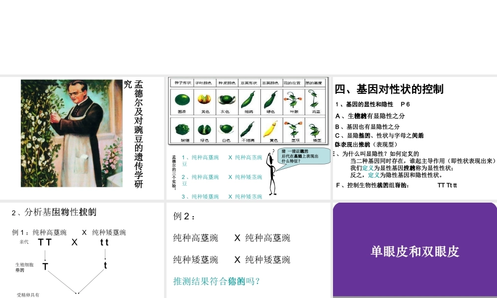 八年级生物下册 第7单元 生命的延续与进化 第22章 第1节《生物的遗传》（第2课时）课件 （新版）苏科版-（新版）苏科版初中八年级下册生物课件