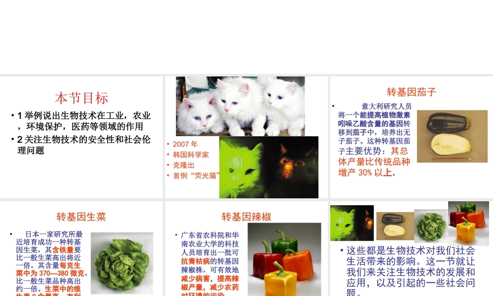 八年级生物下册 第二十四章 第二节 关注生物技术课件4 （新版）苏教版