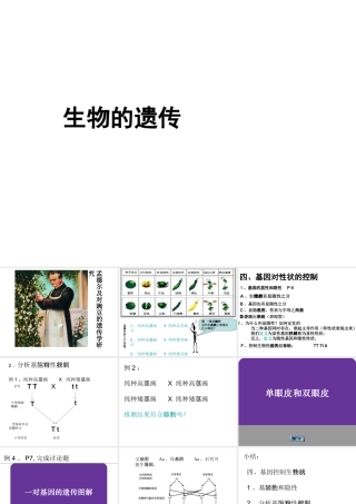 八年级生物下册 第7单元 生命的延续与进化 第22章 第1节《生物的遗传》（第2课时）课件 （新版）苏科版-（新版）苏科级下册生物课件