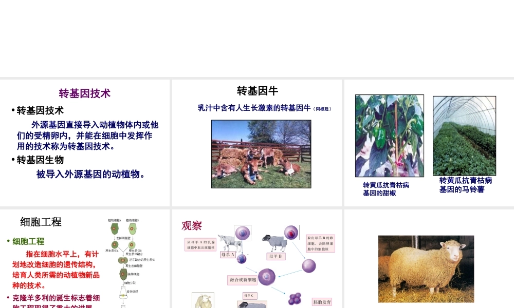 八年级生物下册 第二十四章 第一节 现代生物技术的应用课件1 （新版）苏教版