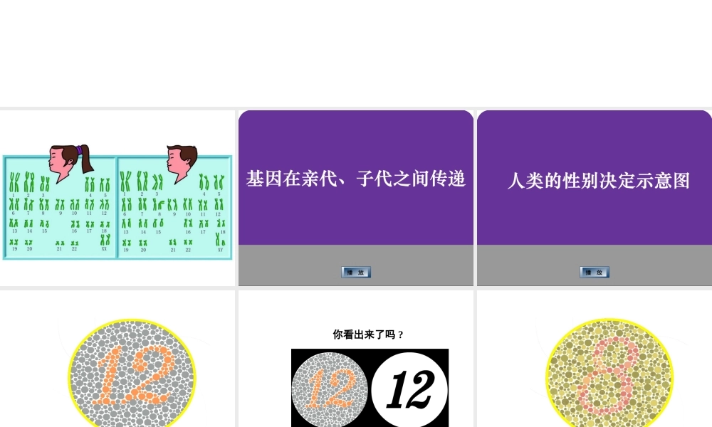 八年级生物下册 第7单元 生命的延续与进化 第22章 第1节《生物的遗传》（第3课时）课件 （新版）苏科版-（新版）苏科版初中八年级下册生物课件