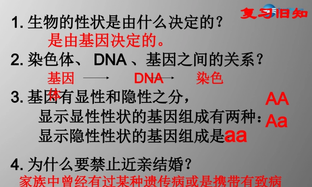 八年级生物下册 第二章 第四节 人的性别遗传课件 新人教版