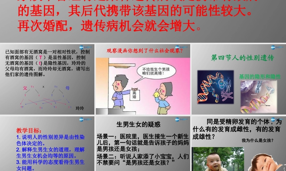 八年级生物下册 第二章 第四节 人的性别遗传课件 新人教版