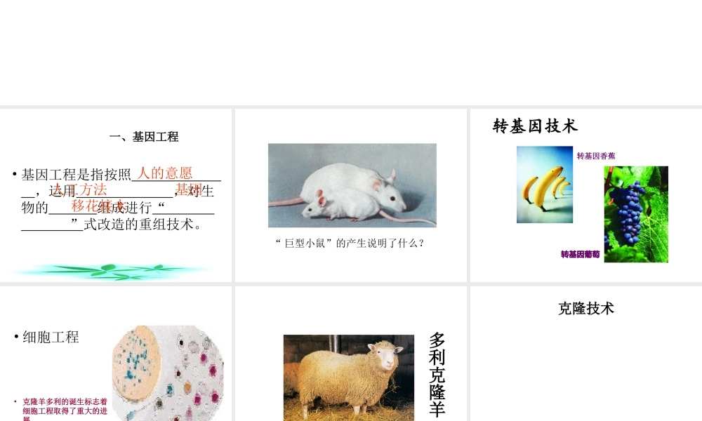 八年级生物下册 第二十四章 第一节 现代生物技术的应用课件2 （新版）苏教版