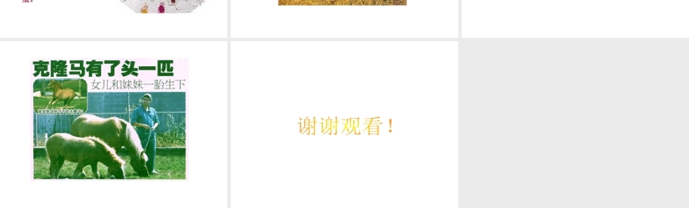 八年级生物下册 第二十四章 第一节 现代生物技术的应用课件2 （新版）苏教版