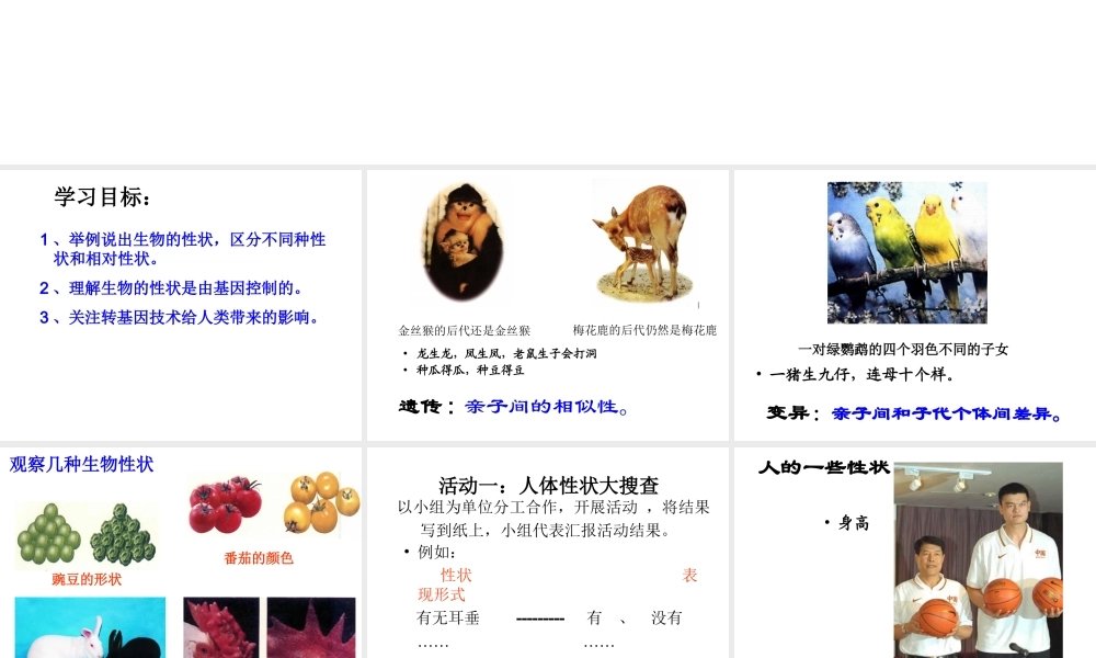 八年级生物下册 第二章 第一节 基因控制生物的性状课件 新人教版