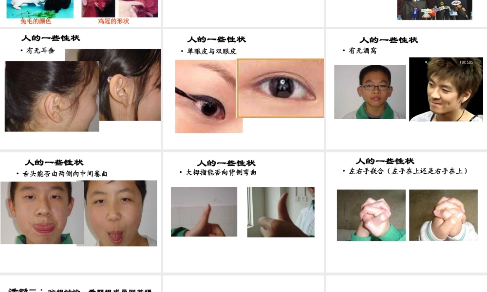 八年级生物下册 第二章 第一节 基因控制生物的性状课件 新人教版