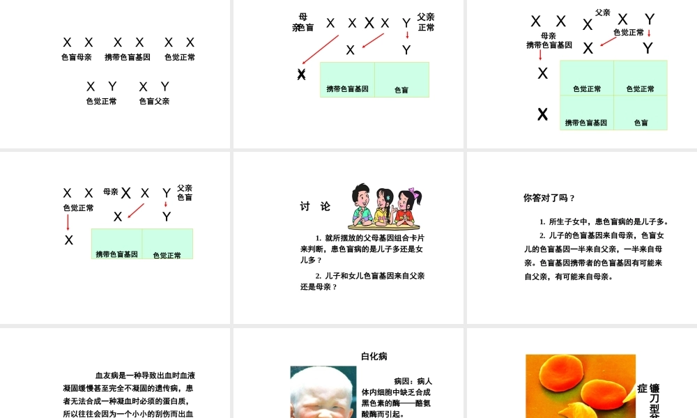 八年级生物下册 第7单元 生命的延续与进化 第22章 第1节《生物的遗传》（第3课时）课件 （新版）苏科版-（新版）苏科级下册生物课件